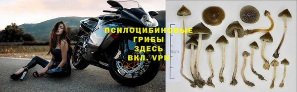 СК Алзамай