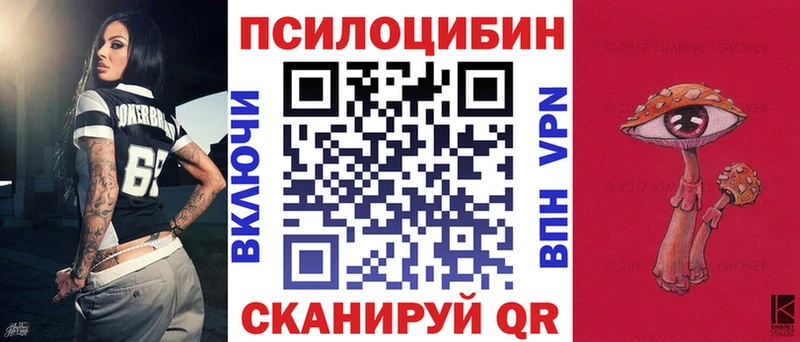 Купить где  Мамоново  Галлюциногенные грибы Cubensis 